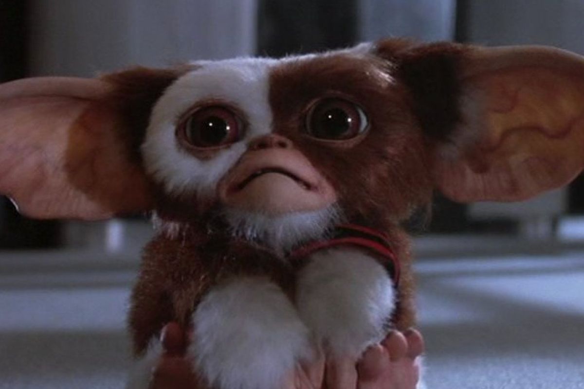Gizmo from Gremlins knows you need a good non-Christmas Christmas movie to watch. 