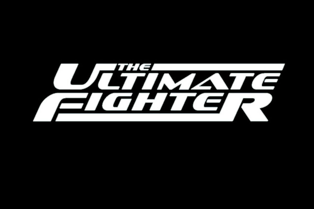 the ultimate fighter