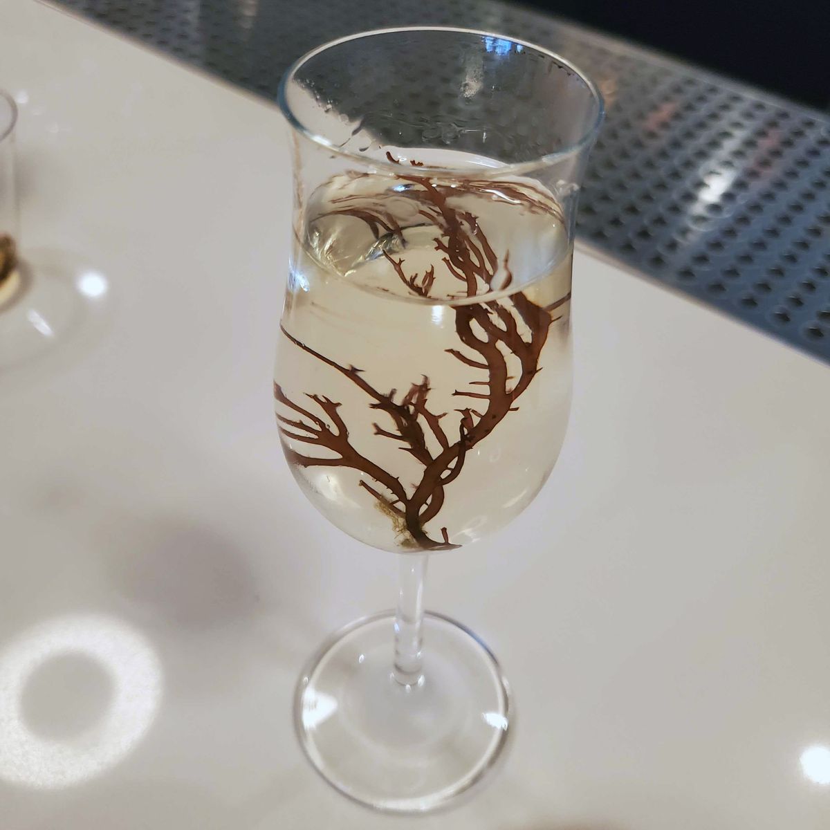 A single piece of red seaweed floats inside a stemmed sherry glass in the Salty Feelings cocktail from Bar Iris in San Francisco.