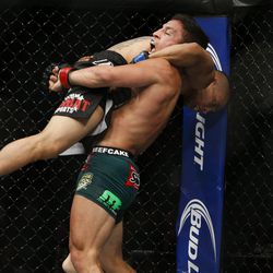 UFC 187 photos