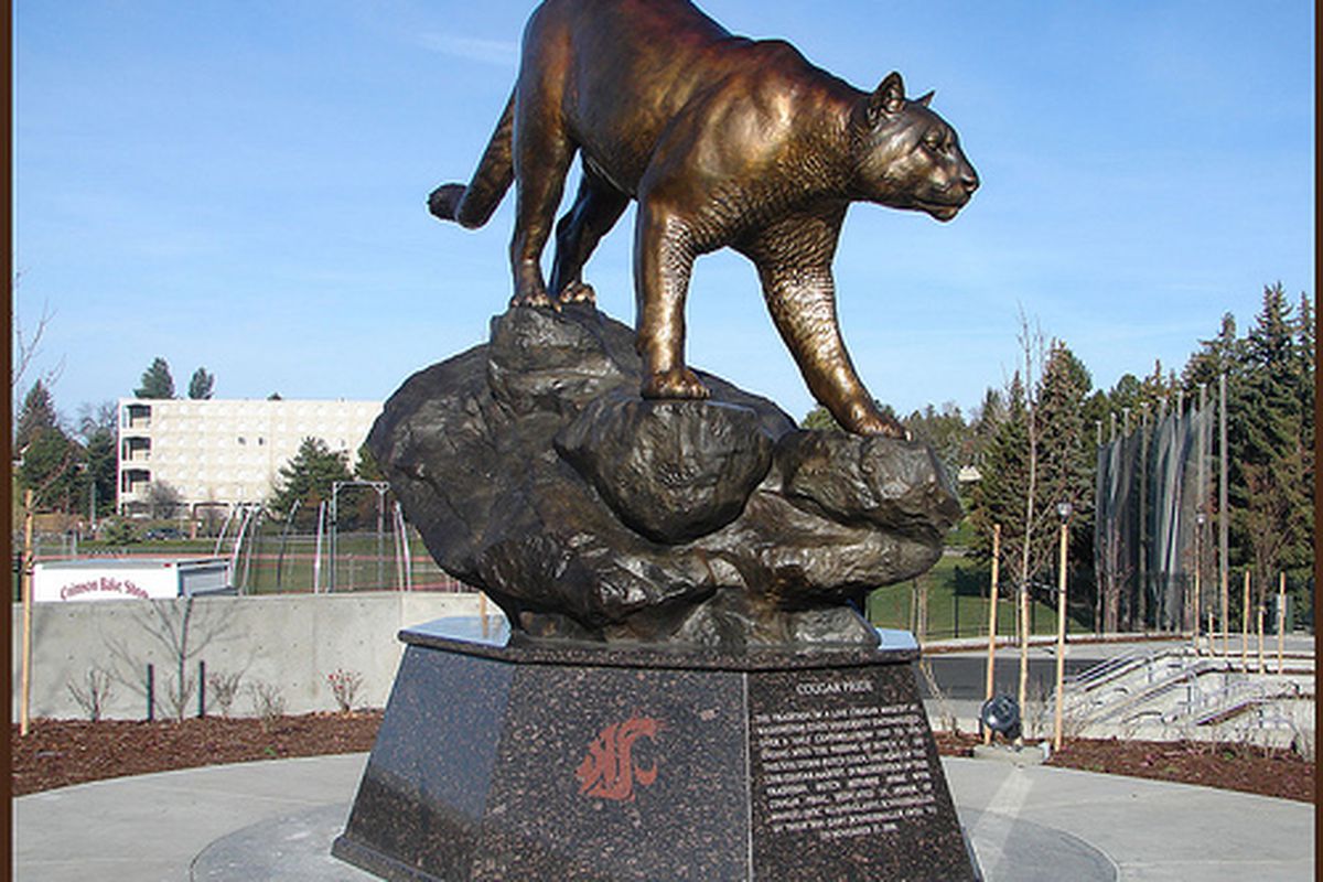 The Cougar Pride Statue, part of the Martin Stadium renovation, rivals Dick Bennett as one of the coolest things Jim Sterk brought to Pullman.  via <a href="http://farm4.static.flickr.com/3090/3175129645_cd1746b5e5.jpg">farm4.static.flickr.com</a>