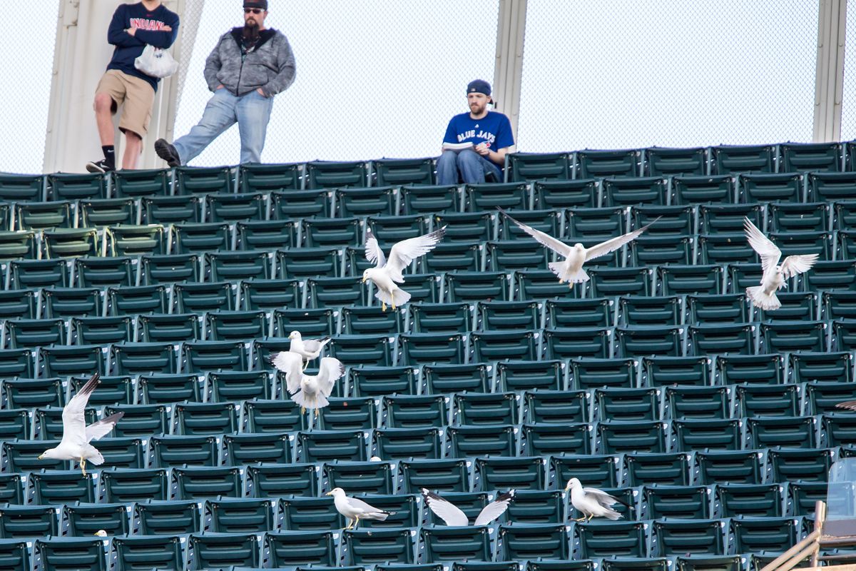 MLB: MAY 02 Blue Jays at Indians