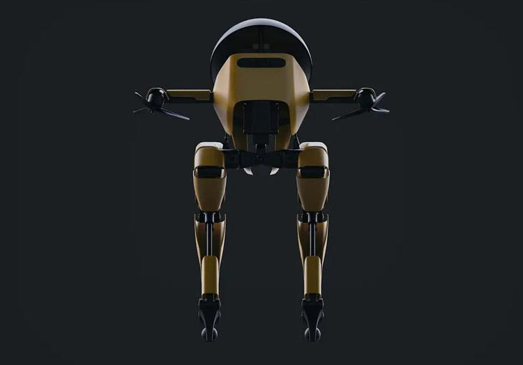 Azoey Biped Robot with Azoey Biped Robot 