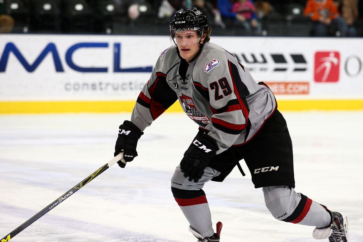 Youngstown Phantoms forward Cam Morrison, a Notre Dame recruit, was named the 2015-16 USHL Rookie of the Year.