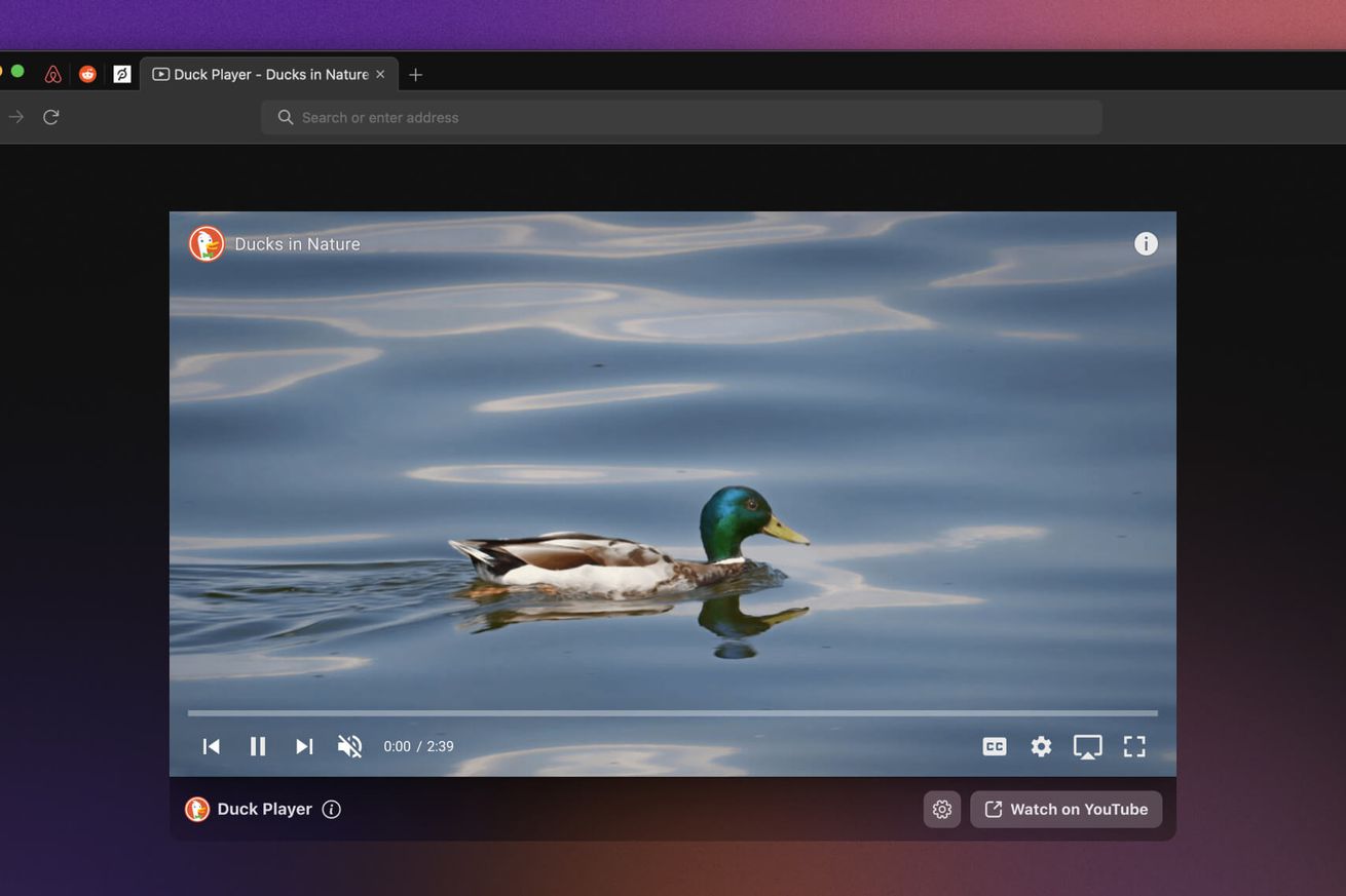 The DuckDuckGo Duck web video player displaying a duck on water.