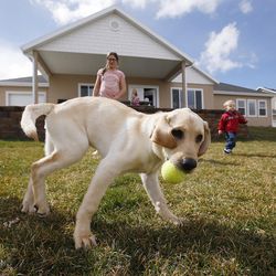Scott Johnson and his kids play with their dog at their home in Orem on Tuesday, March 29, 2016.