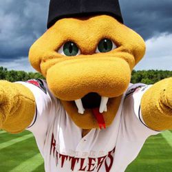 <strong>Fang</strong> (Wisconsin Timber Rattlers, affiliate of the Milwaukee Brewers in the Midwest League) 