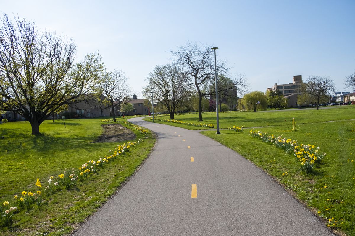 The Dennis Archer Greenway with grass to the sides and a row of daffodils on each side in Detroit, Michigan. 