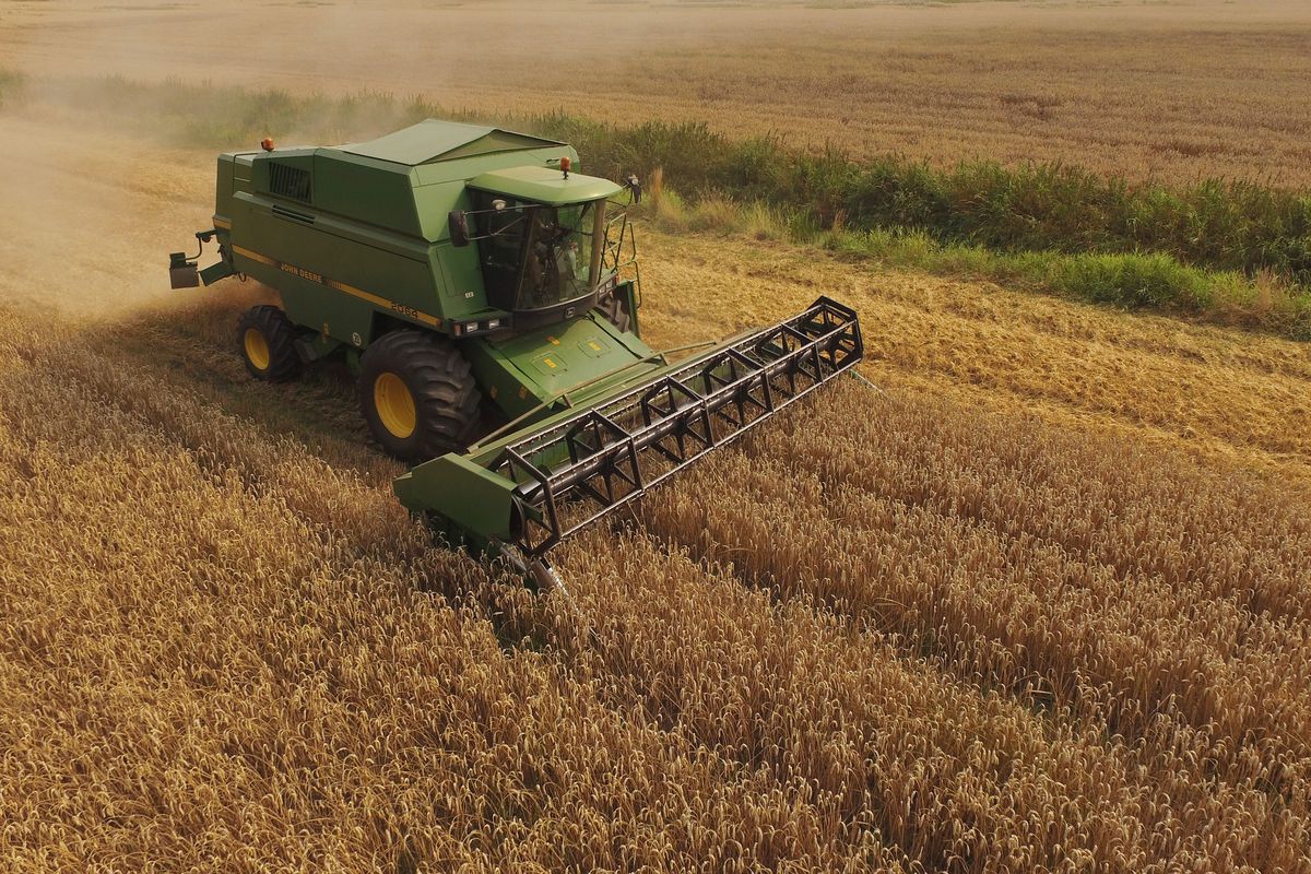 Farmers Association To Announce Grain Harvest Results