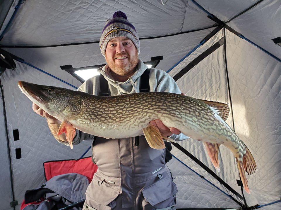 Big northern pike caught ice fishing in northern Minnesota. Provided by Javier Serna