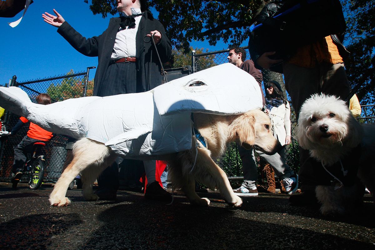 Pooches Parade Their Halloween Costumes In Annual NYC Dog Parade