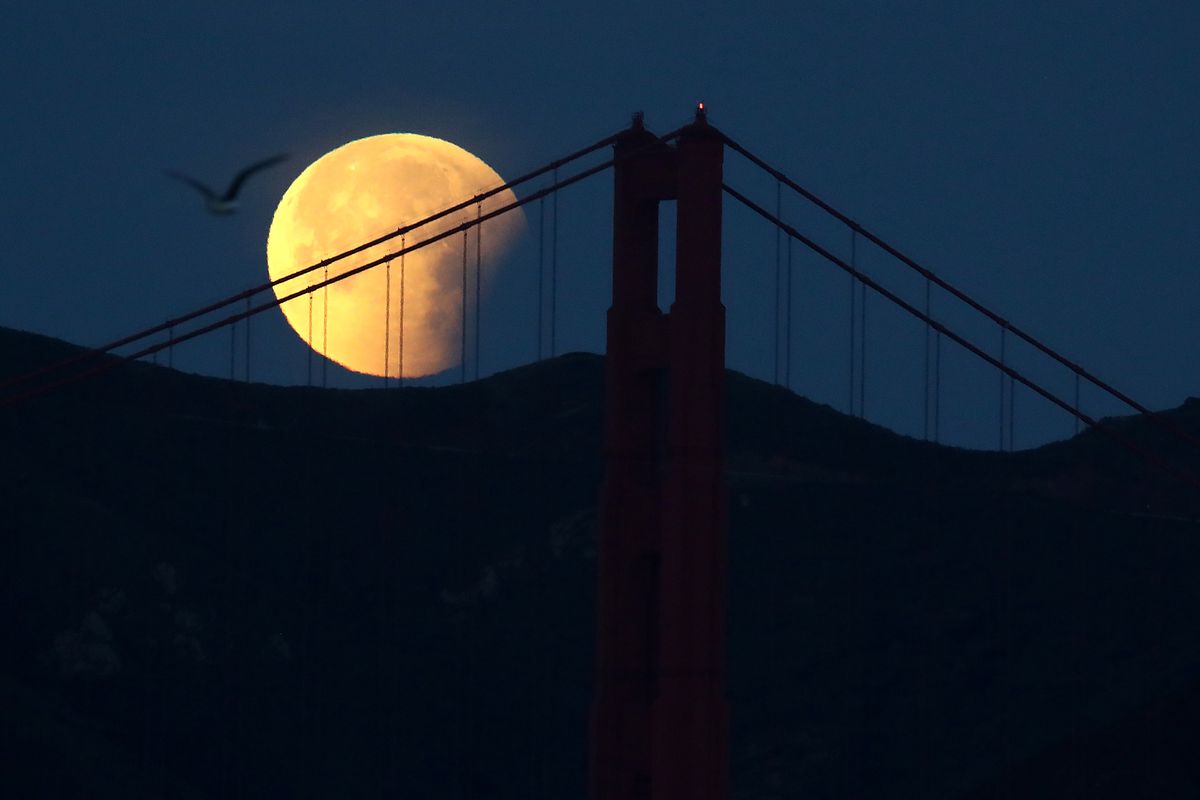 Rare ‘Super Blue Blood Moon’ Makes Appearance On U.S. West Coast