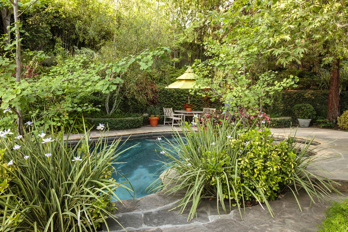 Serene pool in yard