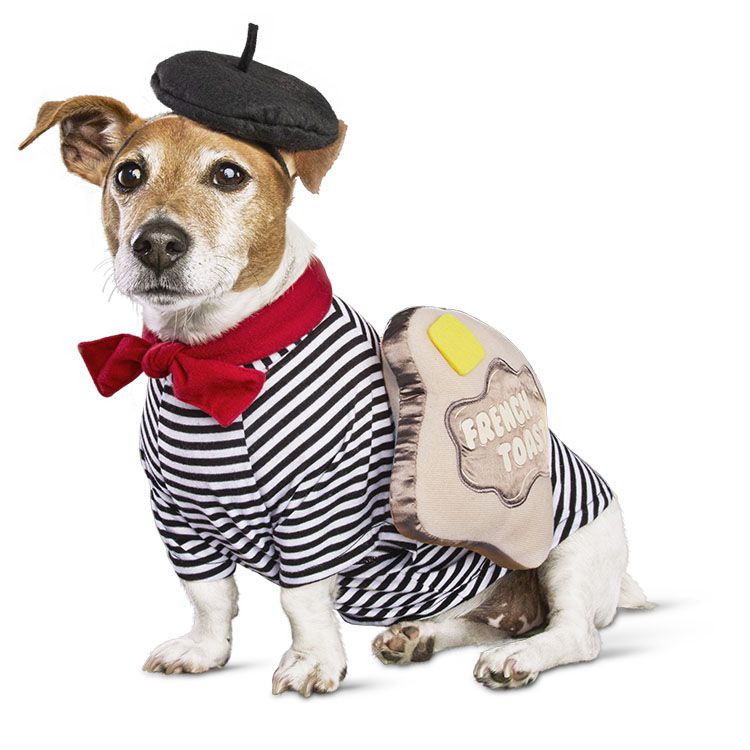 A "french toast" costume from Petco’s Bootique. 