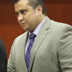 George Zimmerman, accused in the Trayvon Martin shooting, stands in Seminole circuit court for a pretrial hearing, in Sanford, Fla., Saturday, June 8, 2013. 