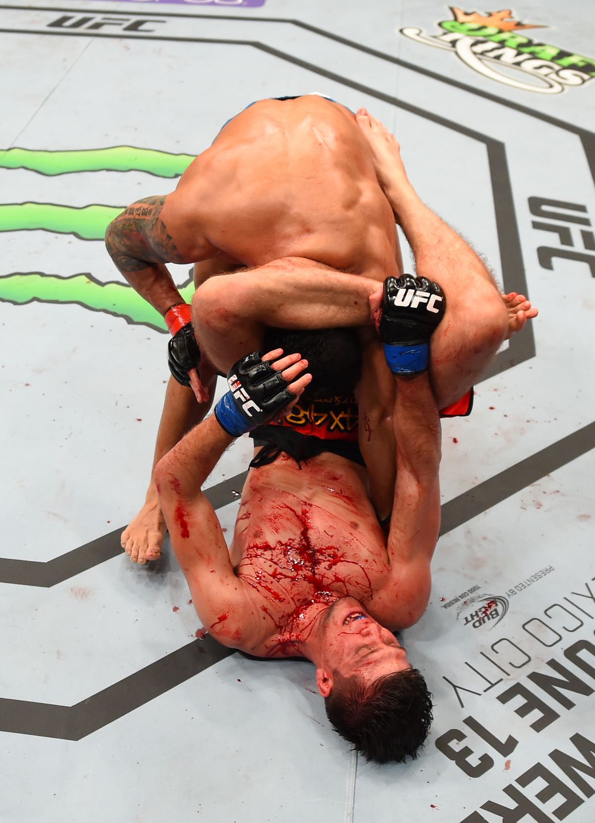 UFC Fight Night: Tavares v Ortega
