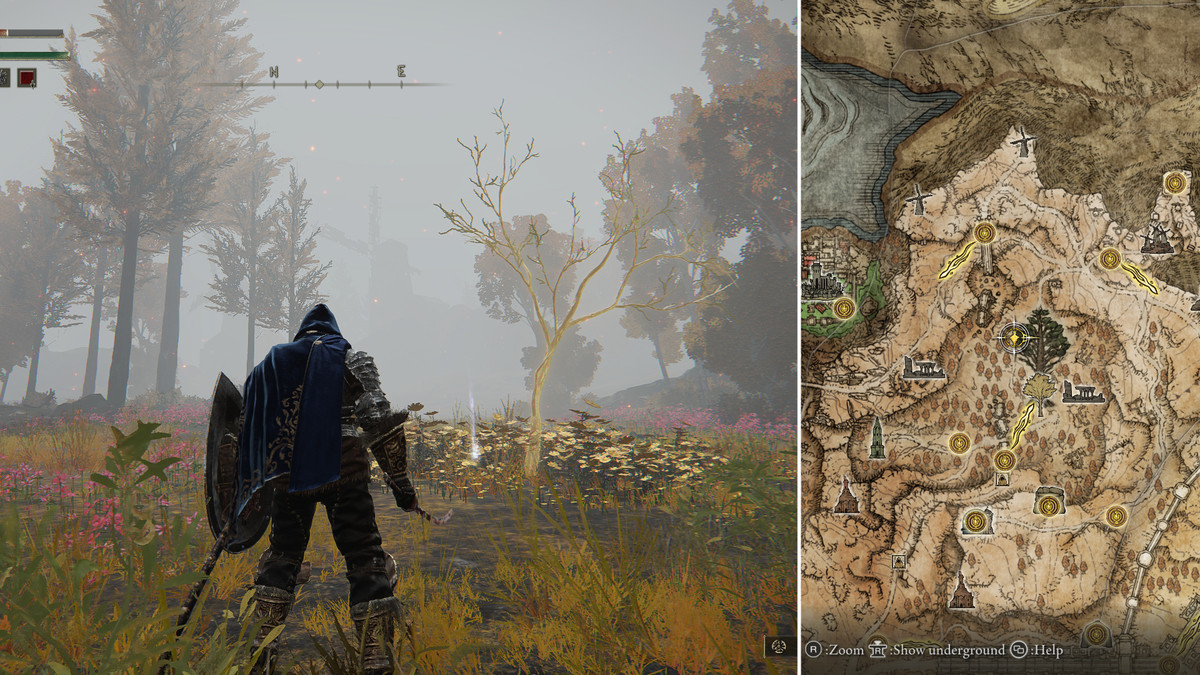 Split image showing map and Minor Erdtree Golden Seed location 