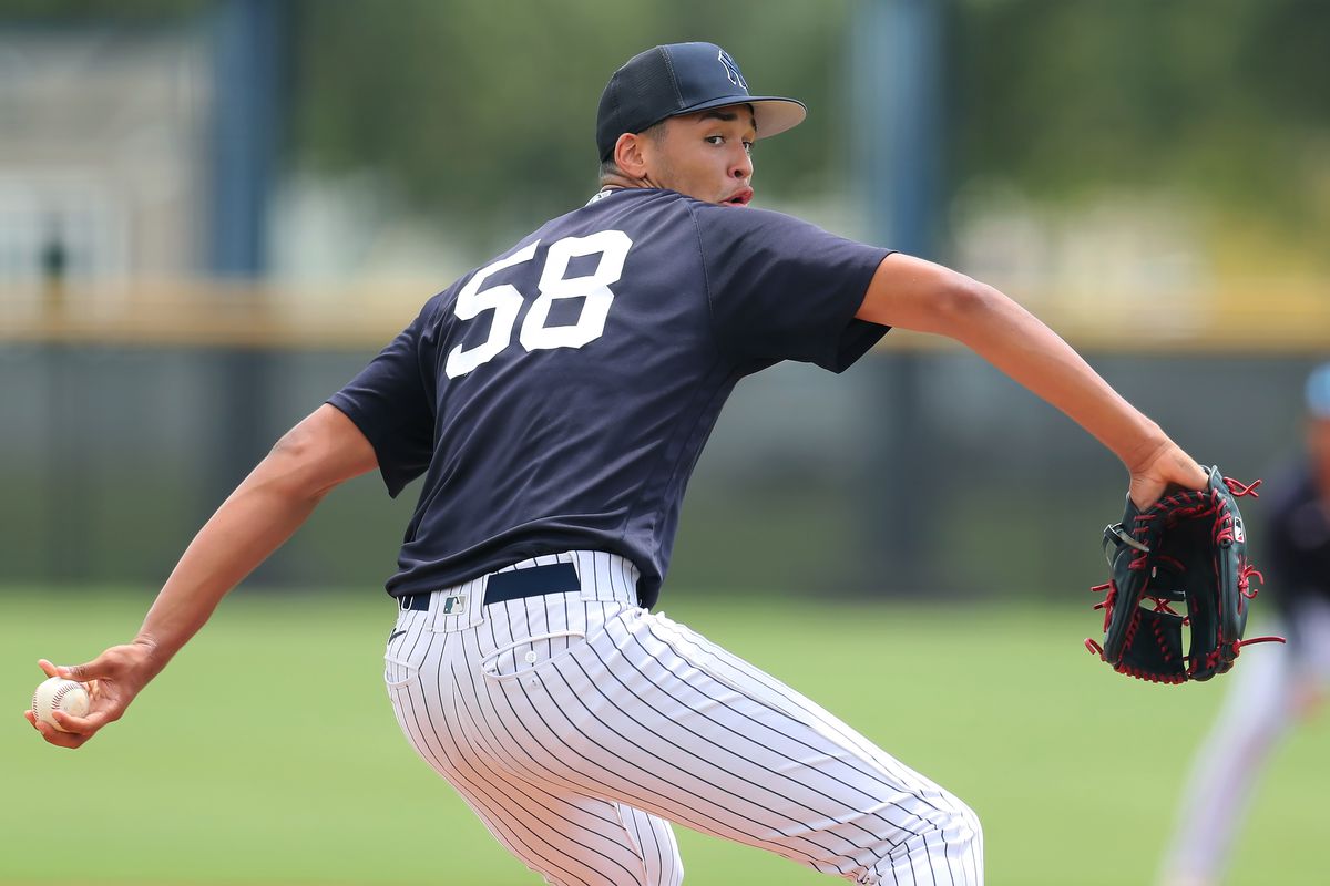 MiLB: JUL 28 Florida Complex League - FCL Tigers at FCL Yankees