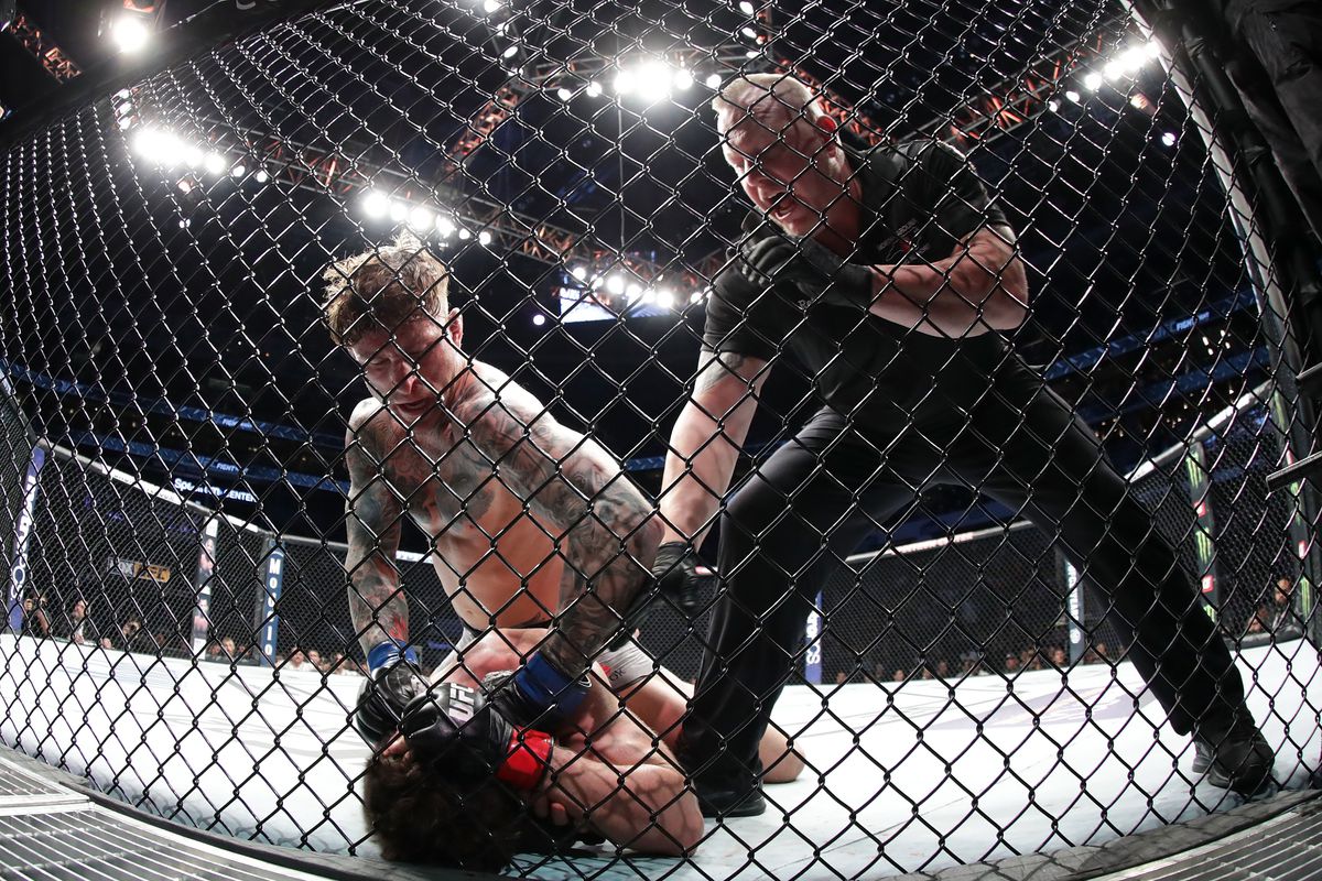 UFC Fight Night: Dennis Bermudez v Andre Fili