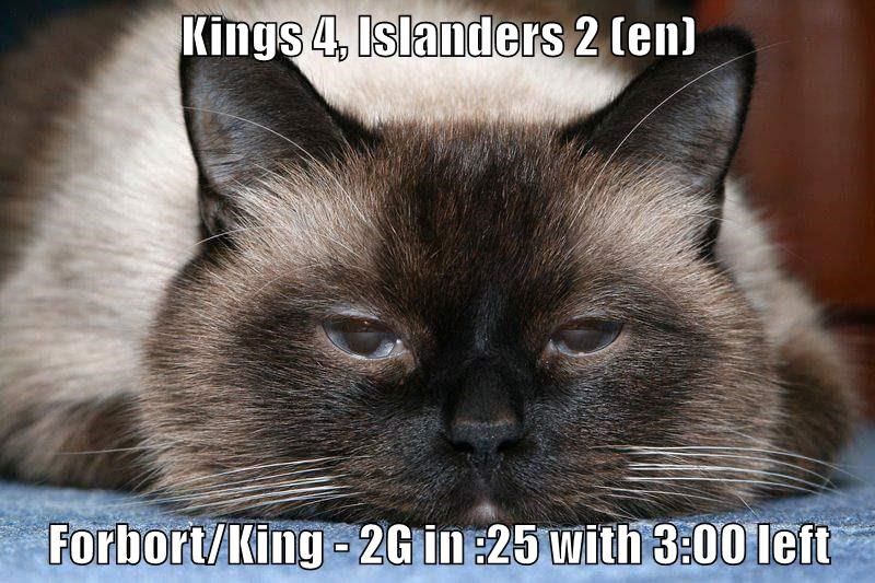 2016-17 Re-Cats Islanders Kings