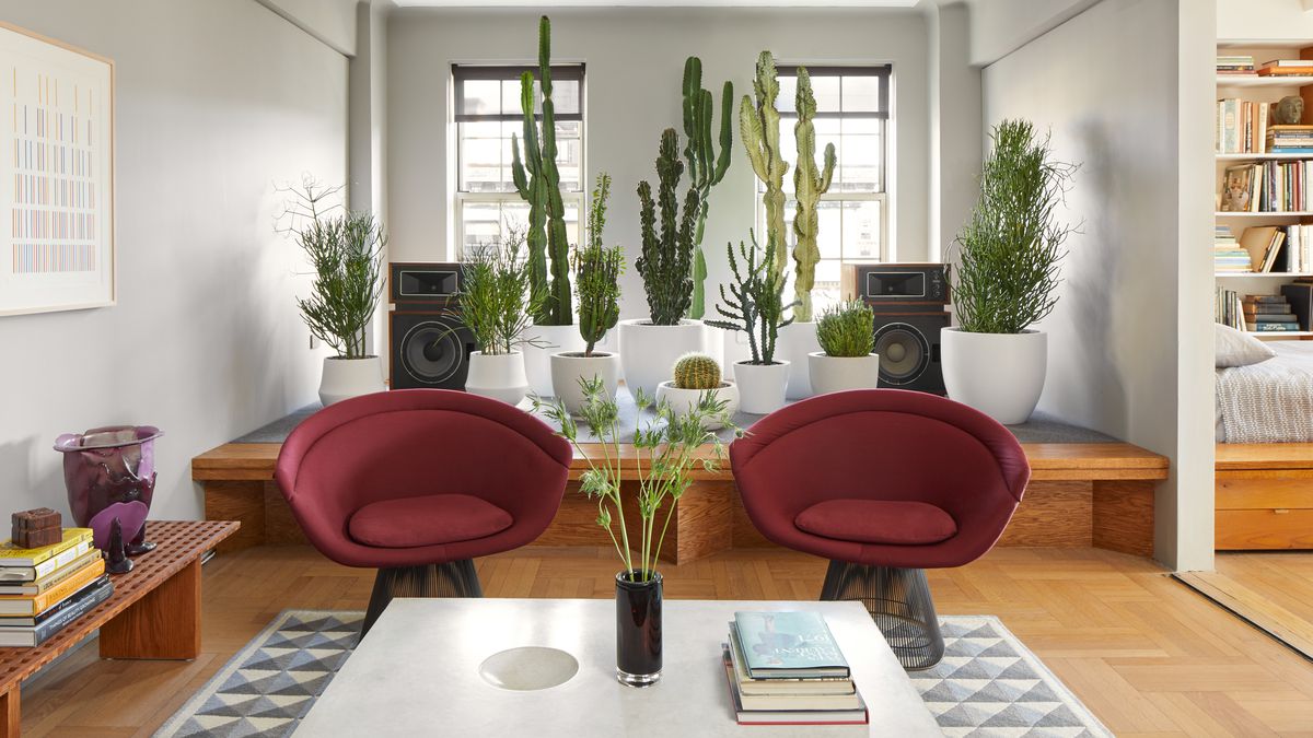 A living area. There are two dark red arm chairs, a white coffee table, wooden floors, and a grey and white patterned area rug. There are windows on the far wall. In front of the windows are multiple houseplants in planters.