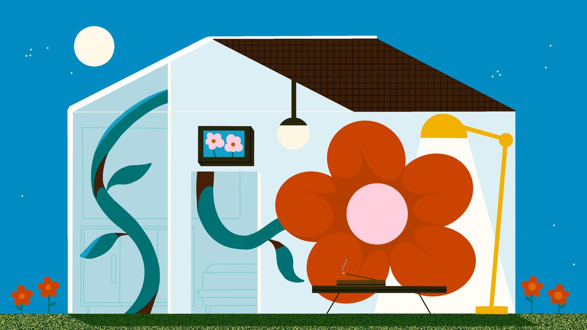 A single blooming flower extends its stem throughout a house to find light. Outside the sun has set and a full moon shines on the home. Illustration.