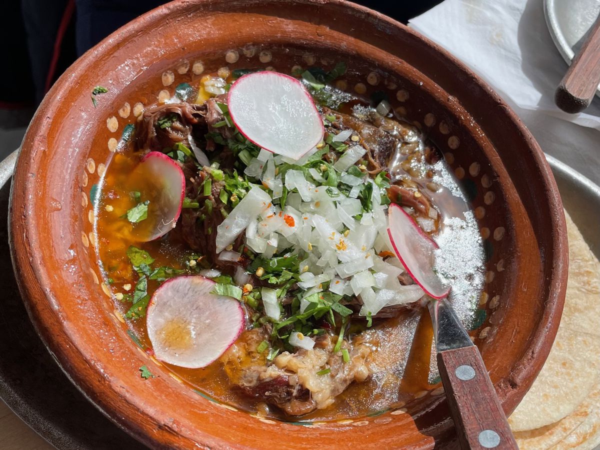 A red clay bowl of beef birria topped with thinly sliced radish, chopped white onion, and minced cilantro.