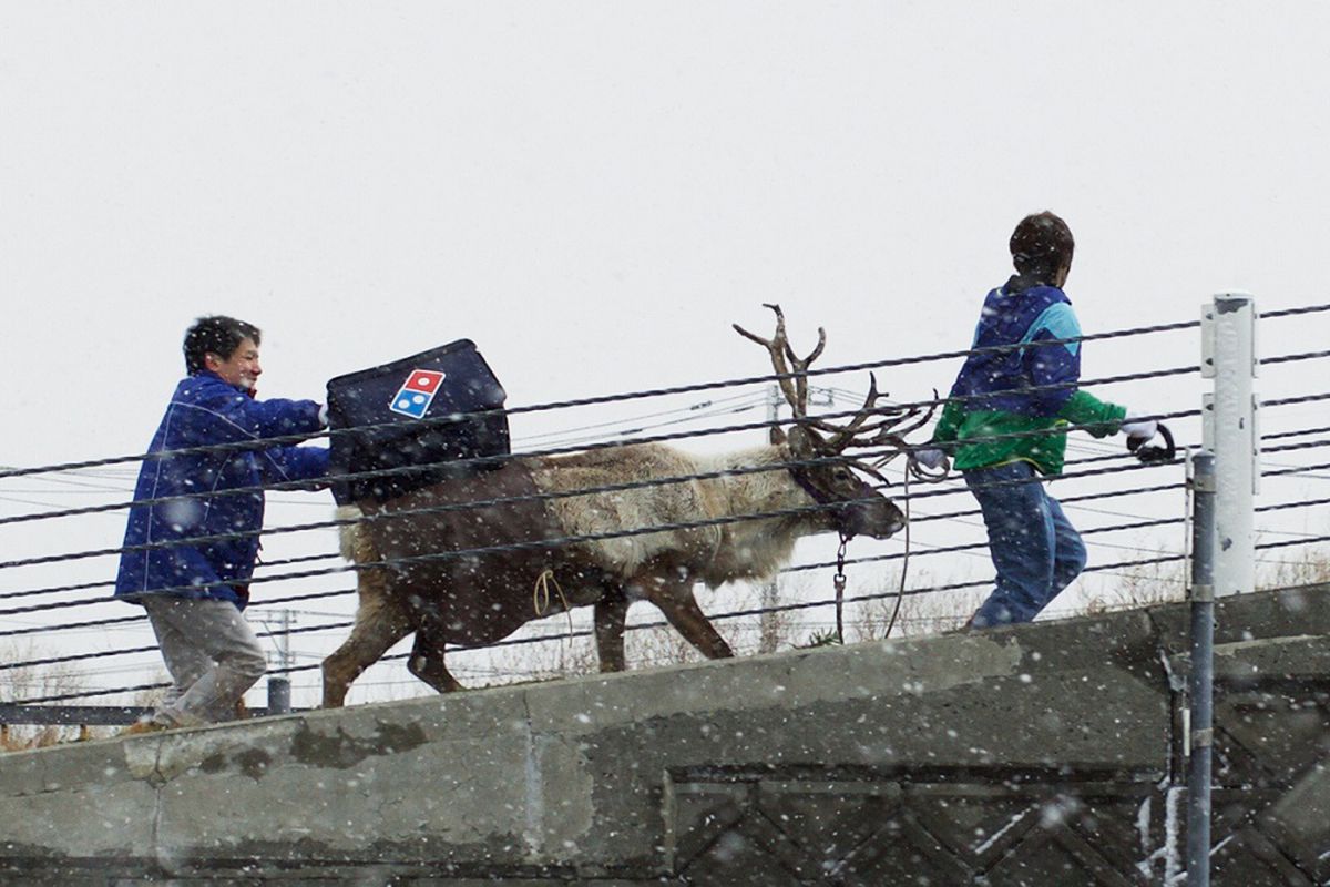 A Domino's delivery reindeer