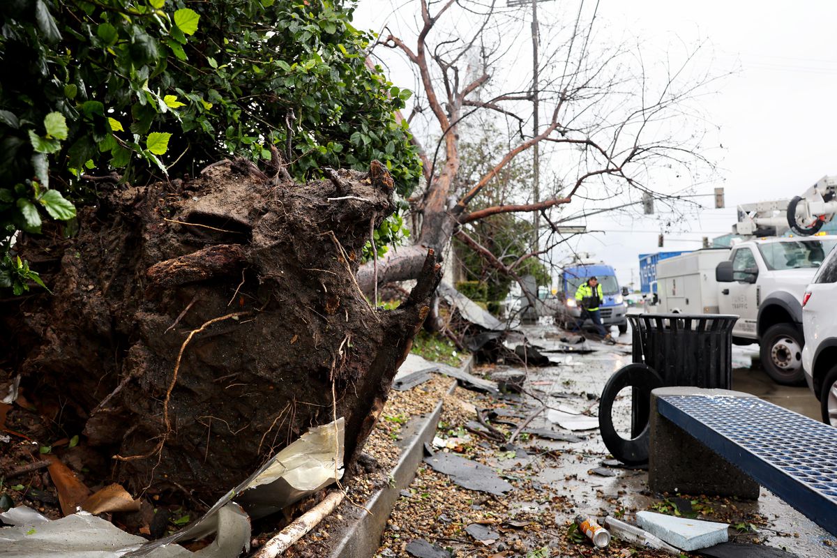 Downed trees and debris line a Los Angeles suburban street, with a worker in a yellow traffic vest at a distance and their utility company truck parked nearby.