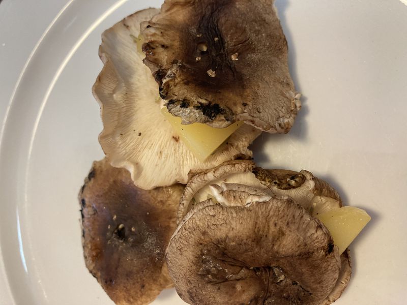 Slightly charred mushrooms on a plate. 