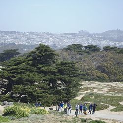 Hit a trail, frolic in the surf, or scamper in the sand: You'll have lots of choices at <b>Fort Funston</b>. (It's a steep walk from the parking lot to the beach, so consider it your weekend killer quad workout.) If you're feeling daring, Fort Funston is 