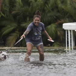 Darcelle Jacobs and her dog Skittles check out the flooding on their street in Fort Myers Beach, Fla., Monday, July 31, 2017. Tropical Storm Emily began trekking east across the Florida peninsula on Monday, scattering drenching rains amid expectations it would begin weakening in the coming hours on its approach to the Atlantic coast. (Andrew West/The News-Press via AP)