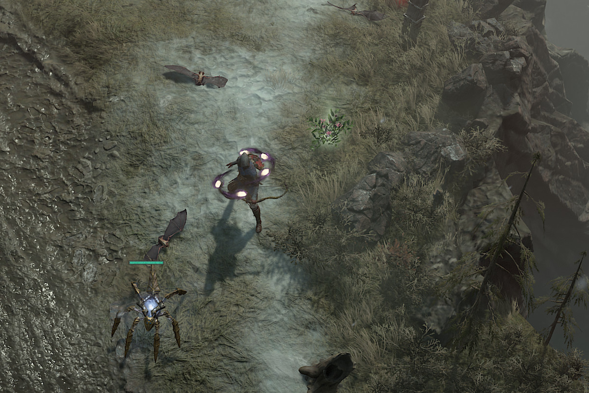 A Rogue and his Construct stands near a batch of Gallowvine in Diablo 4