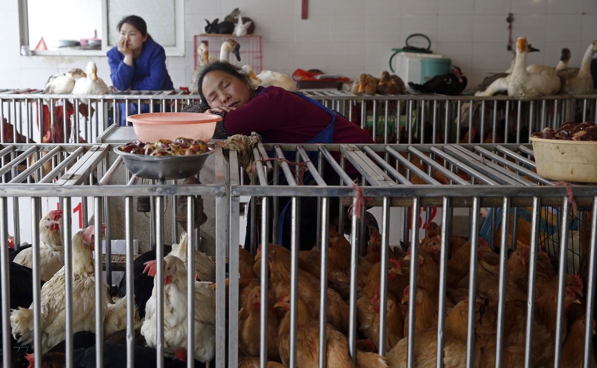 A seller sleeping next to a cage in a poultry market in Guiyang, southwest China's Guizhou province