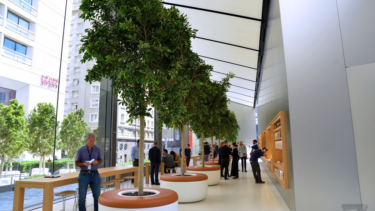 herhaling Graden Celsius Formulering Apple just revealed the future of its retail stores - The Verge