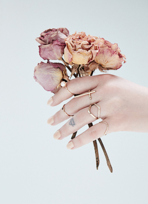 A woman's hand wearing several rings, holding flowers