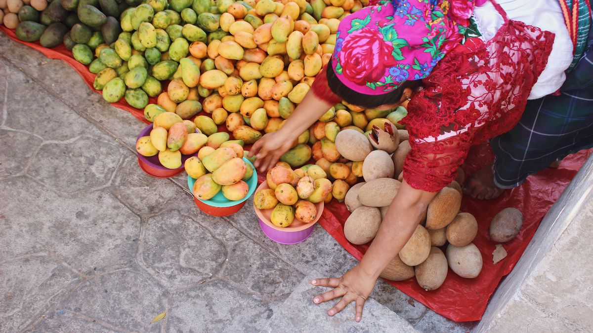 Woman wearing traditional dress sets out different varieties of mangoes on a blanket.