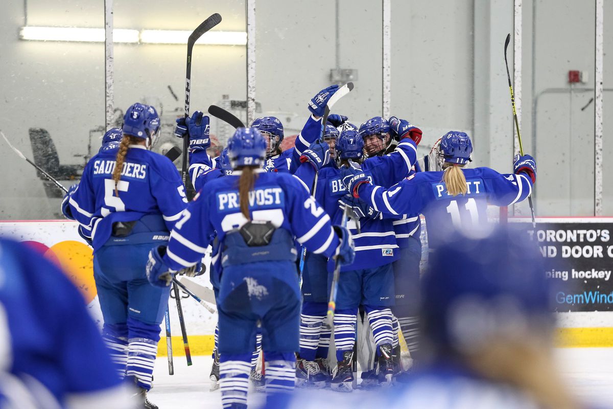 The Toronto Furies celebrate their win over the Calgary Inferno.