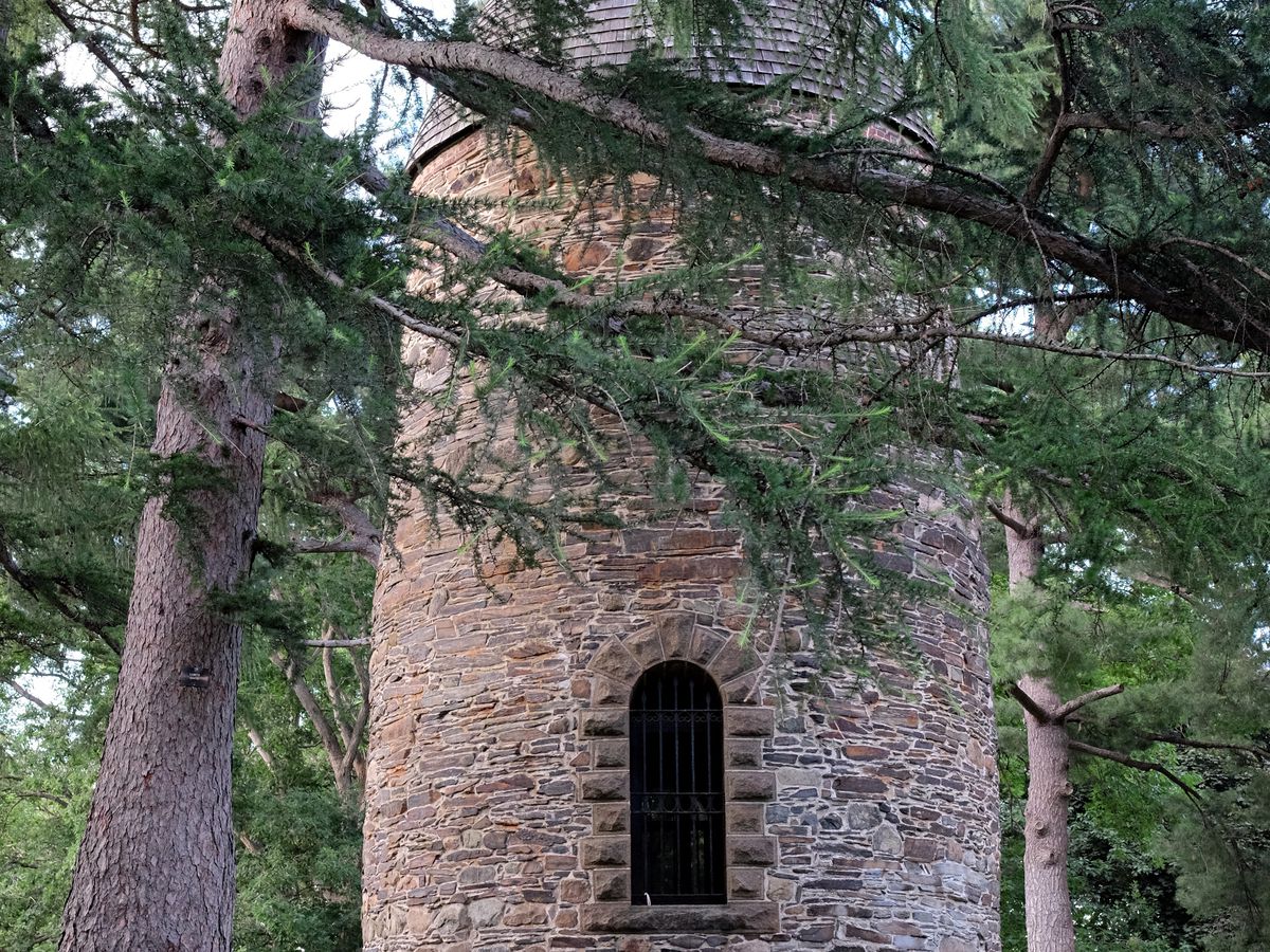 A cylindrical stone tower in a forest.
