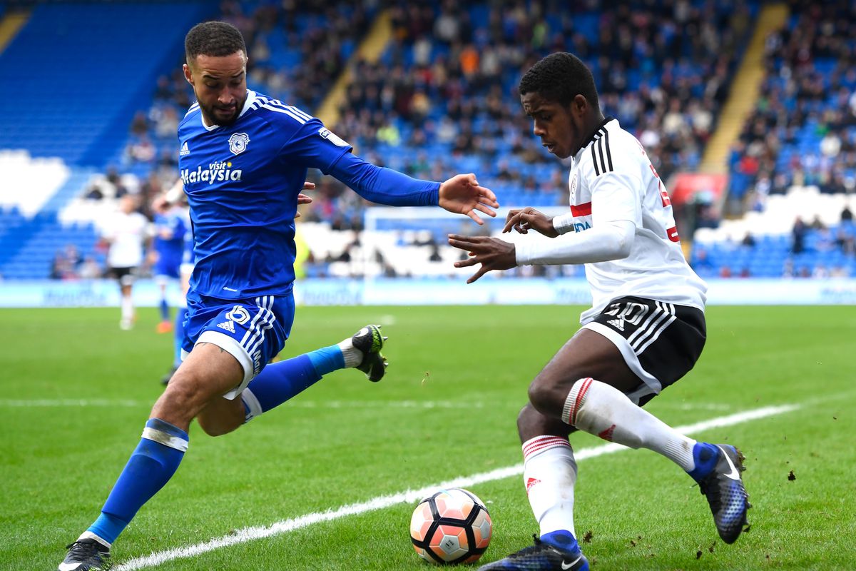 Cardiff City v Fulham - The Emirates FA Cup Third Round