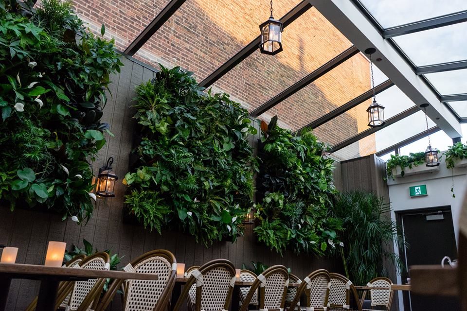 A patio with a lot of greenery on the wall. 