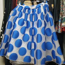Alice + Olivia skirt, $200 (before sale price)