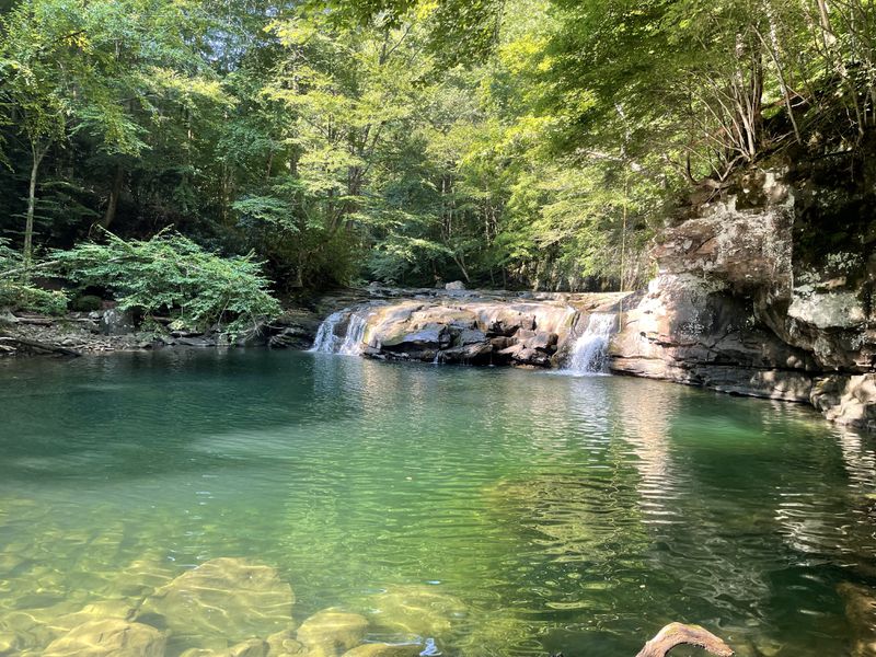 A photo of a small waterfall flowing into a pool of green water. Trees with green leaves surround the pool.