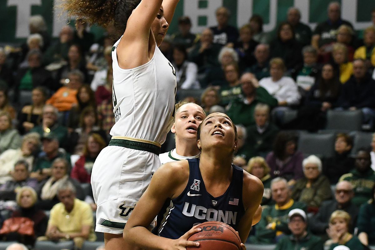 NCAA Womens Basketball: Connecticut at South Florida