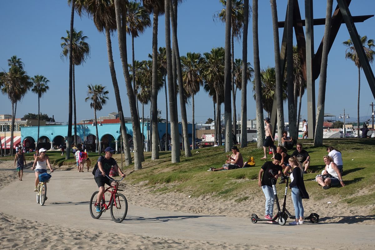 A small group of people travel down a path on bikes and scooters surrounded by blue skies and palm trees.