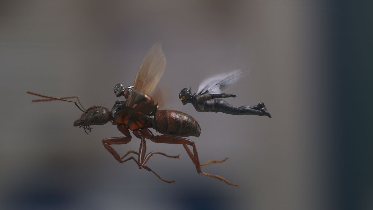 Ant-Man and The Wasp in action