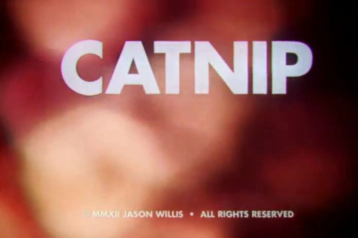 Catnip Sundance short film