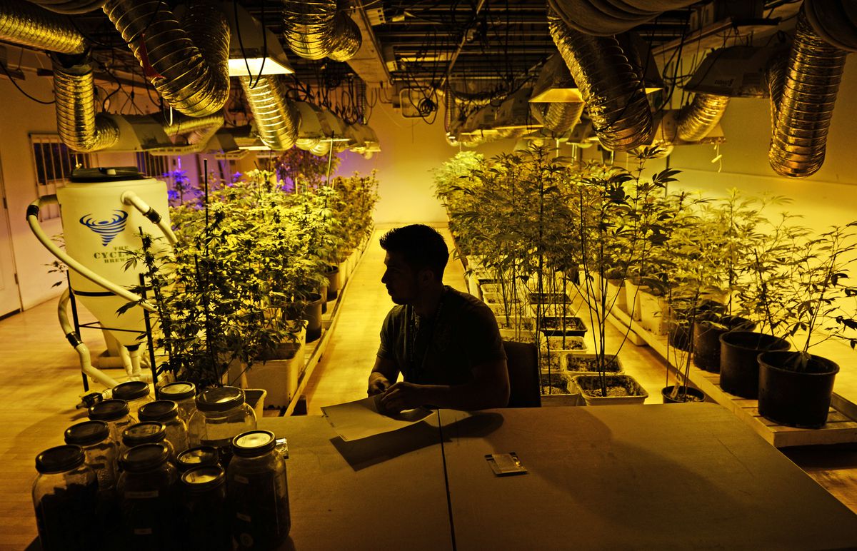 A marijuana business manager prepares for the first day of recreational sales in Denver, Colorado.