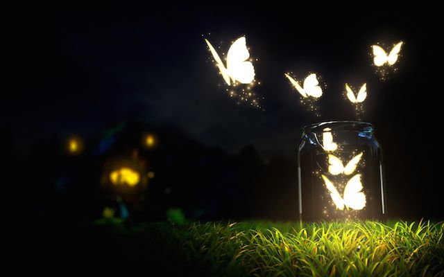glowing butterflies