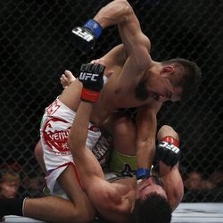 UFC 161 Photos